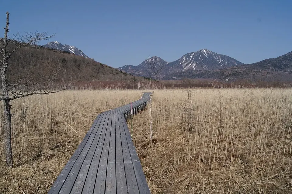 枯れ草色の湿原をまっすぐ延びる木道と、遠くに残雪をいただく山々